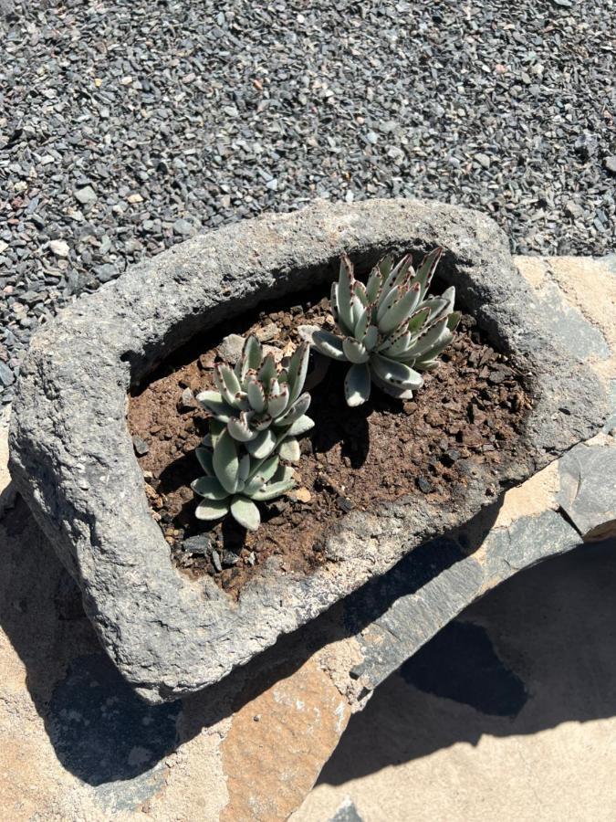 Casa Rural Con Bano Adaptado Y Piscina En Mogan Luaran gambar