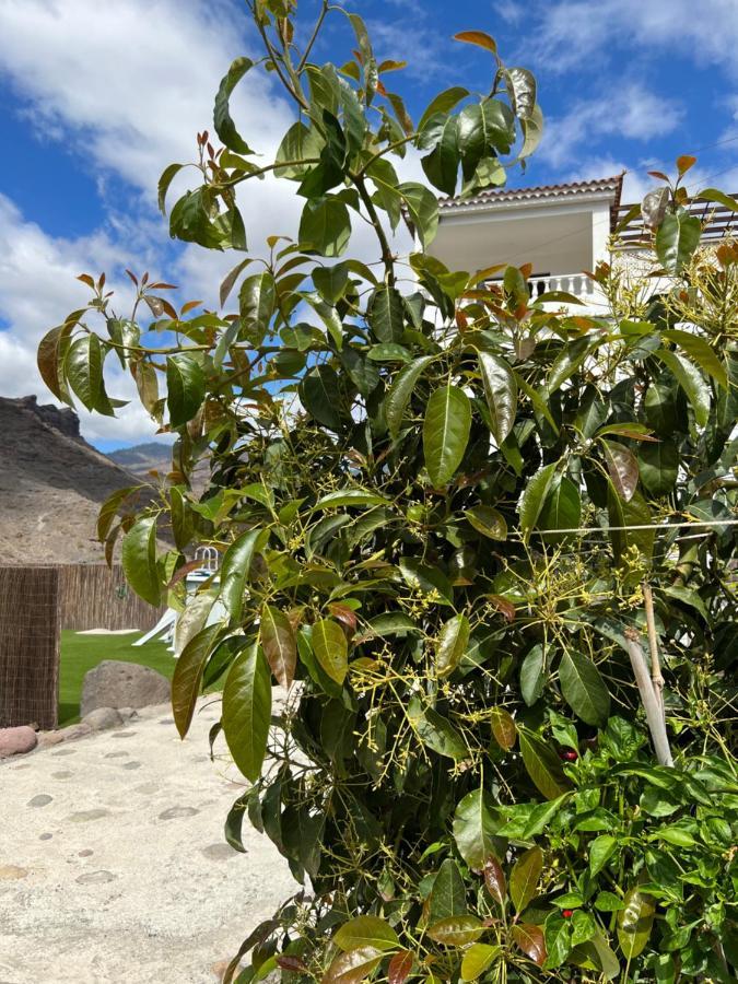 Casa Rural Con Bano Adaptado Y Piscina En Mogan Luaran gambar